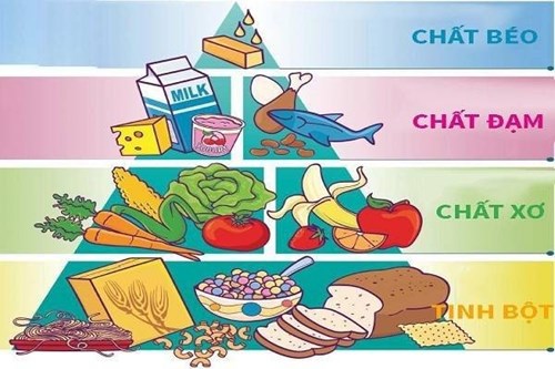 Top 10 thực đơn cho bé 3 tuổi biếng ăn dễ làm, giàu dinh dưỡng