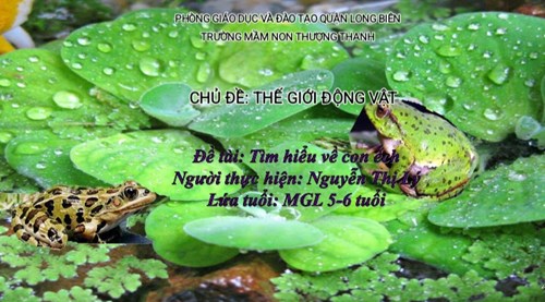 Đề tài: Tìm hiểu về con ếch - GV MGL A3 Nguyễn Thị Lý