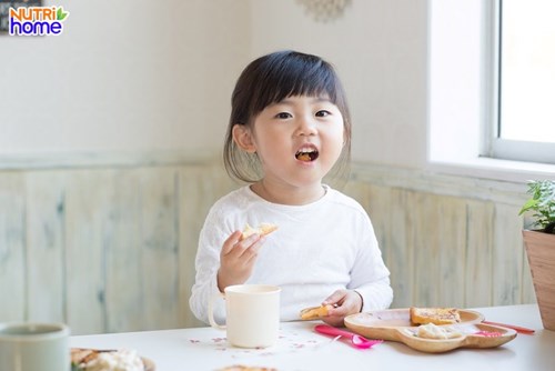 Những món ăn cho trẻ 3 tuổi lười ăn phù hợp với mỗi buổi trong ngày