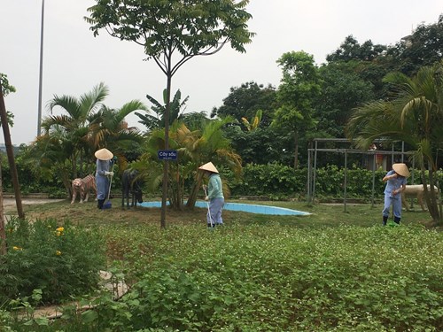 Duy trì công tác vệ sinh tại công trình vườn hoa bốm mùa