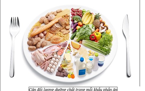 Các thực đơn ngon đầy đủ chất dinh dưỡng cho trẻ mẫu giáo Khối MGB 