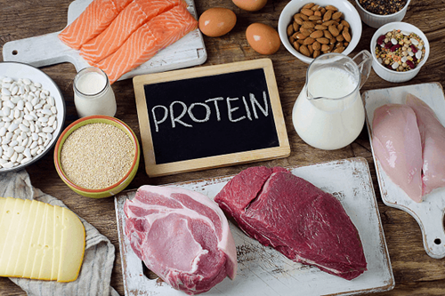 Thực phẩm chứa Protein