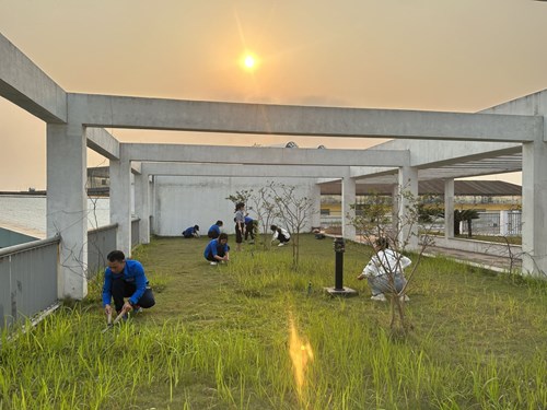 Hưởng ứng Tháng thanh niên 2023: Chi đoàn Trường THCS Nguyễn Bỉnh Khiêm tích cực tham gia vệ sinh, chăm sóc vườn cây sân thượng, giữ gìn khung cảnh sư phạm trường. 