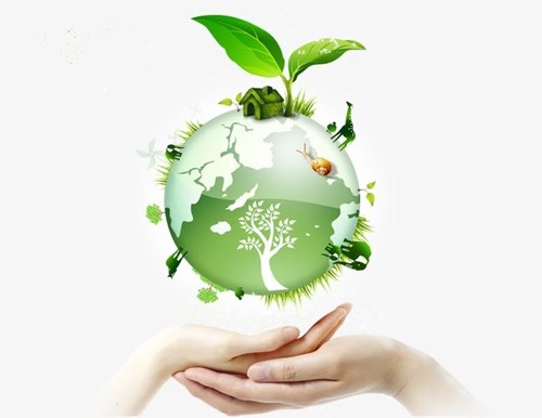 Hưởng ứng phong trào “Hành động vì nhà trường xanh – sạch – đẹp – văn minh - hạnh phúc” năm 2022