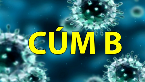 Cúm b là gì? cách phòng ngừa và điều trị hiệu quả