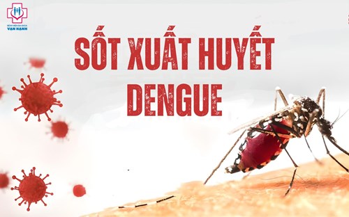 Bệnh sốt xuất huyết dengue