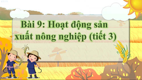 TNXH - Tuần 13 - Bài 9: Hoạt động sản xuất nông nghiệp (t3)