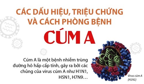 Bài tuyên truyền phòng chống bệnh Cúm A