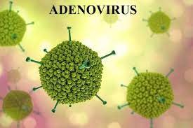 Tuyên truyền phòng chống bệnh sốt adeno vi rut