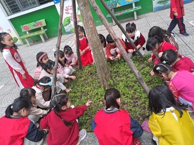 Học sinh khối 2 hưởng ứng  Tết trồng cây đời đời nhớ ơn Bác  - Xuân Giáp Thìn 2024.