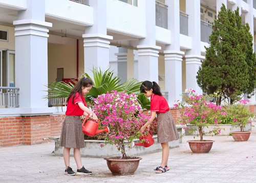 Thiếu nhi tiểu học thượng thanh thực hiện trường học xanh - sạch - đẹp - văn minh - hạnh phúc