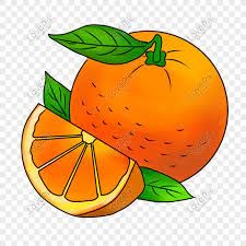Tô màu quả cam
