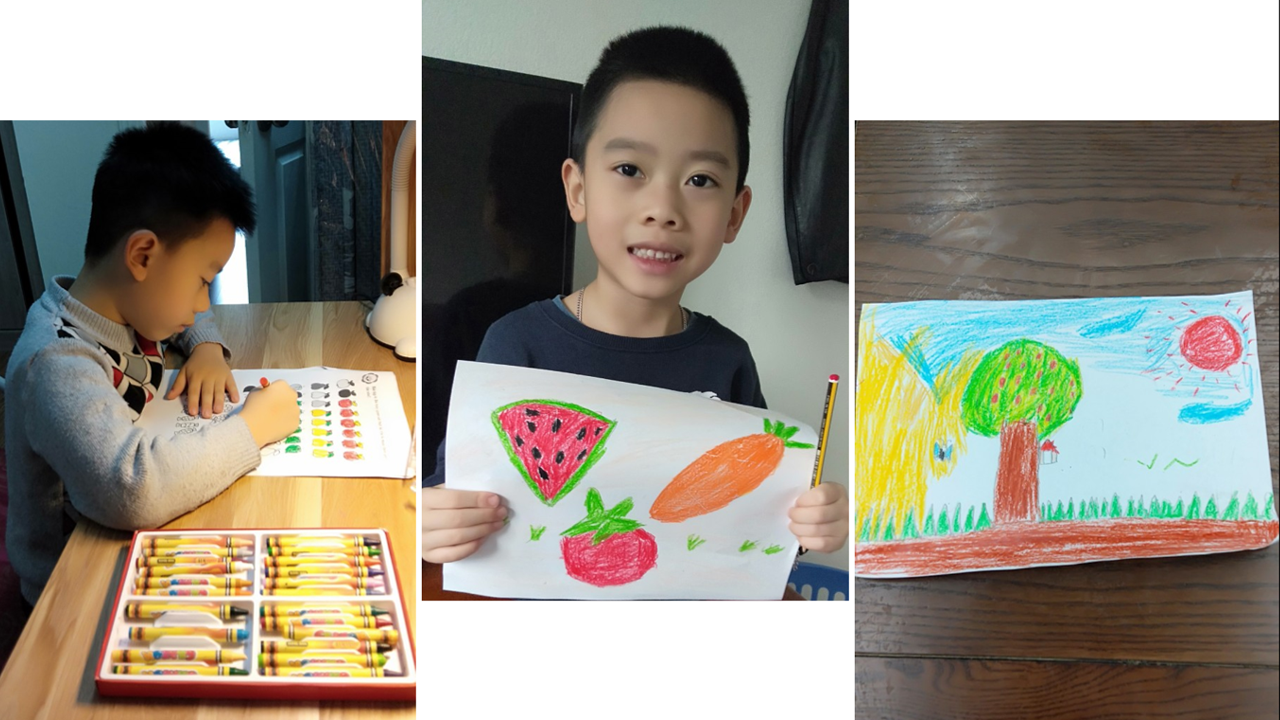Bé Trịnh Minh Quang với bài vẽ rau củ quả và vẽ cây xanh