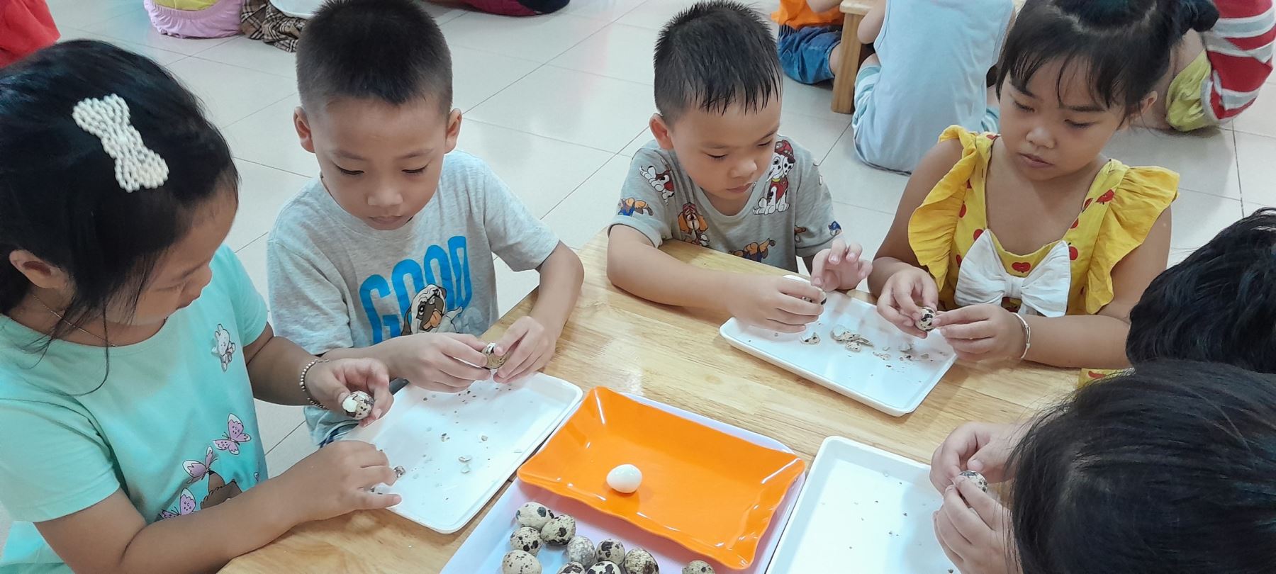 Lớp MGL A1 - Chúng con hôm nay được cô giáo hướng dẫn cách bóc trứng chim cút. Chúng con giúp các bác cấp dưỡng, để các bác chế biến món ăn: Trứng cút kho thịt cho chúng con ăn đấy!