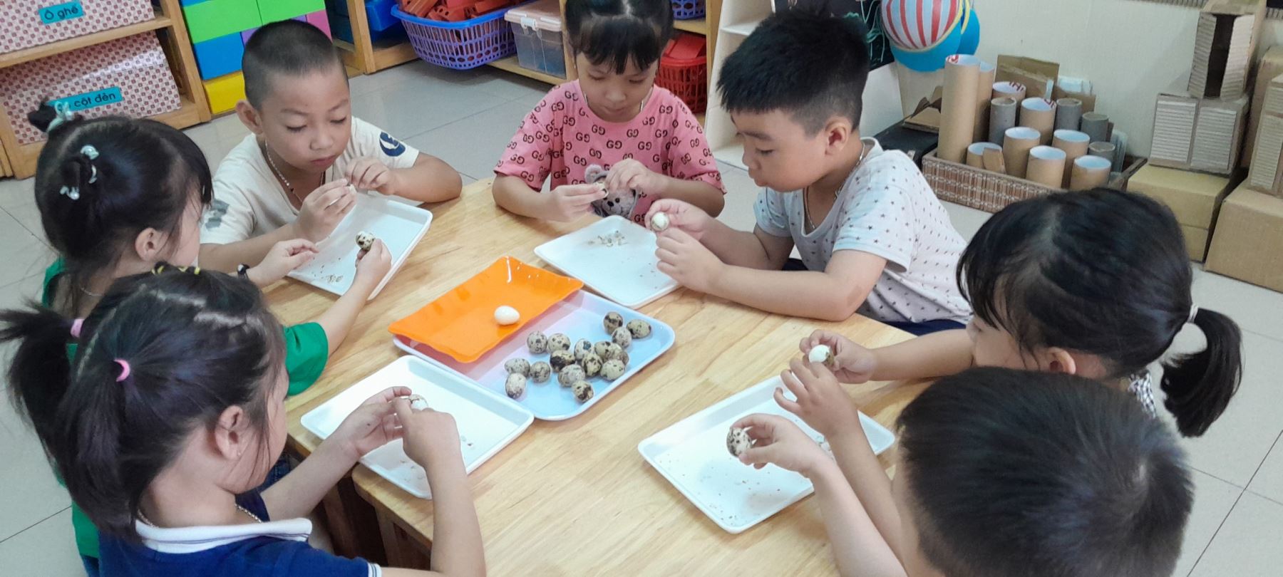 Lớp MGL A1 - Chúng con hôm nay được cô giáo hướng dẫn cách bóc trứng chim cút. Chúng con giúp các bác cấp dưỡng, để các bác chế biến món ăn: Trứng cút kho thịt cho chúng con ăn đấy!