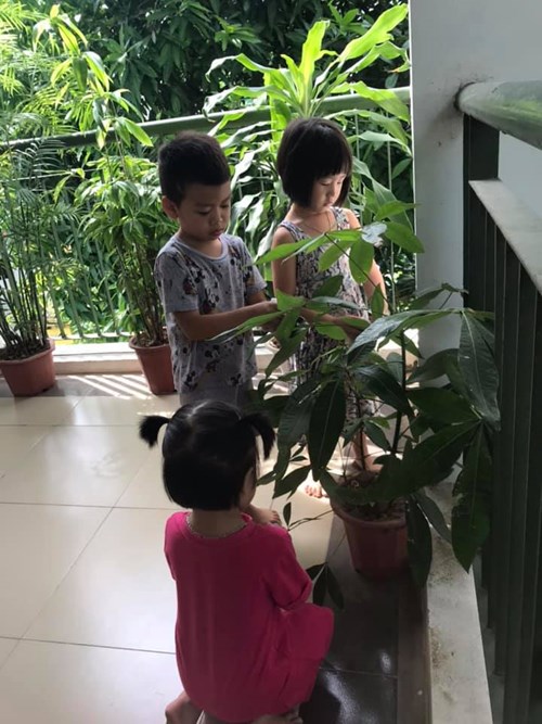 Các bé lớp mẫu giáo nhỡ B3 chăm sóc cây cối