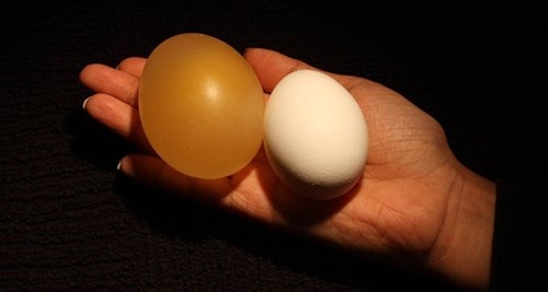  Làm bóng nảy từ trứng