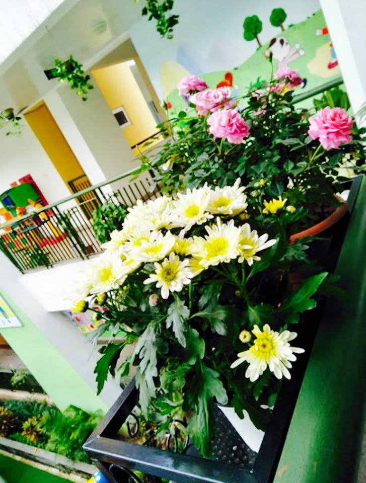 Chùm ảnh:  Hoa khoe sắc thắm trong trường mầm non Bắc Biên