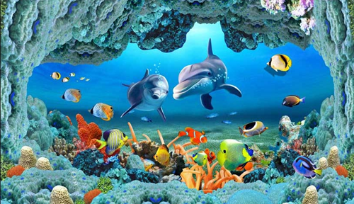 BGTT: tìm hiểu động vật dưới nước