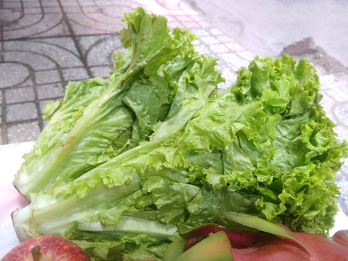 Những lợi ích bất ngờ của việc ăn rau xanh mỗi ngày Lớp MGL A2 sưu tầm