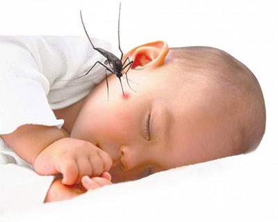 Trẻ tử vong vì sốt xuất huyết và đây là cách phòng tránh muỗi đốt mẹ phải biết