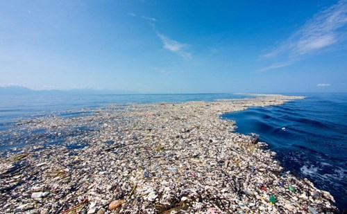 Tác hại của rác thải nhựa đối với môi trường