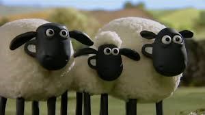Phim hoạt hình: Những Chú Cừu thông minh - Tập 08