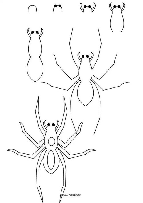 Day bé cách vẽ con nhện