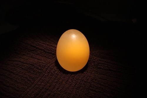 Thí nghiệm: Làm bóng nảy từ trứng