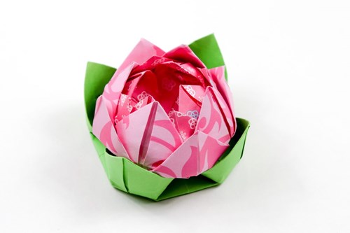 Cách gấp hoa sen giấy hồng
