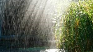 KPKH: Vì sao có mưa