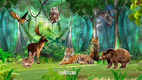 KPKH: Một số động vật sống trong rừng