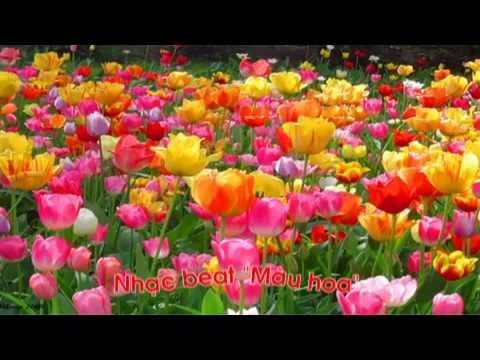 PTTM: Dạy hát- Màu hoa