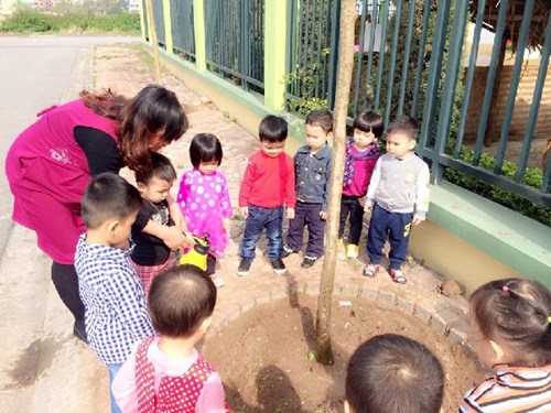 Cô và các bé lớp Mẫu giáo Bé C4 cùng nhau trồng cây