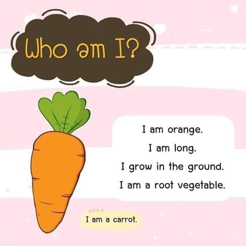 i am a carrot