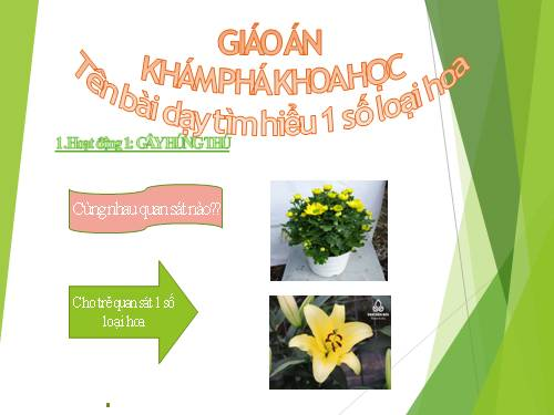 KPKH : tìm hiểu 1 số loại hoa