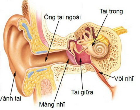 Trẻ viêm tai giữa, coi chừng suy giảm thính lực