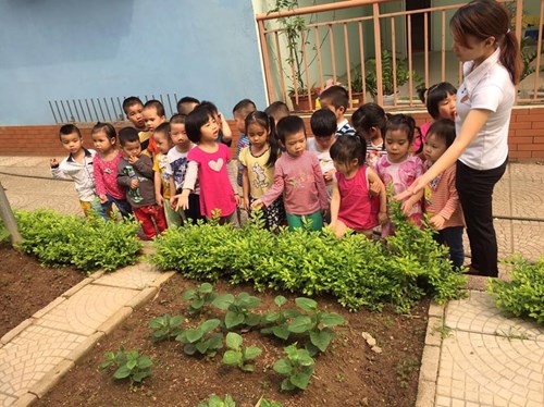 Các bé lớp MGB C5 thăm vườn rau của trường