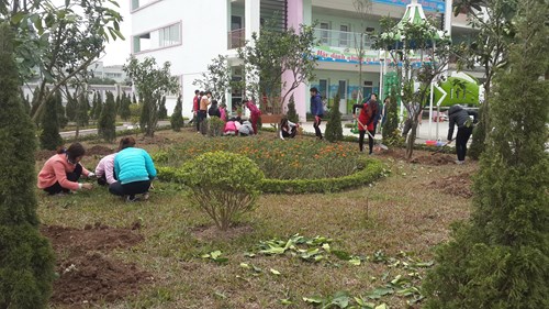 Trường Mầm non Đô thị Việt Hưng hưởng ứng phong trào Tết trồng cây