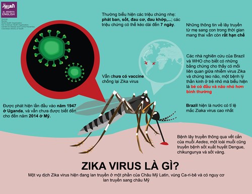 Thông điệp khuyến cáo phòng chống bệnh do vi rút Zika 