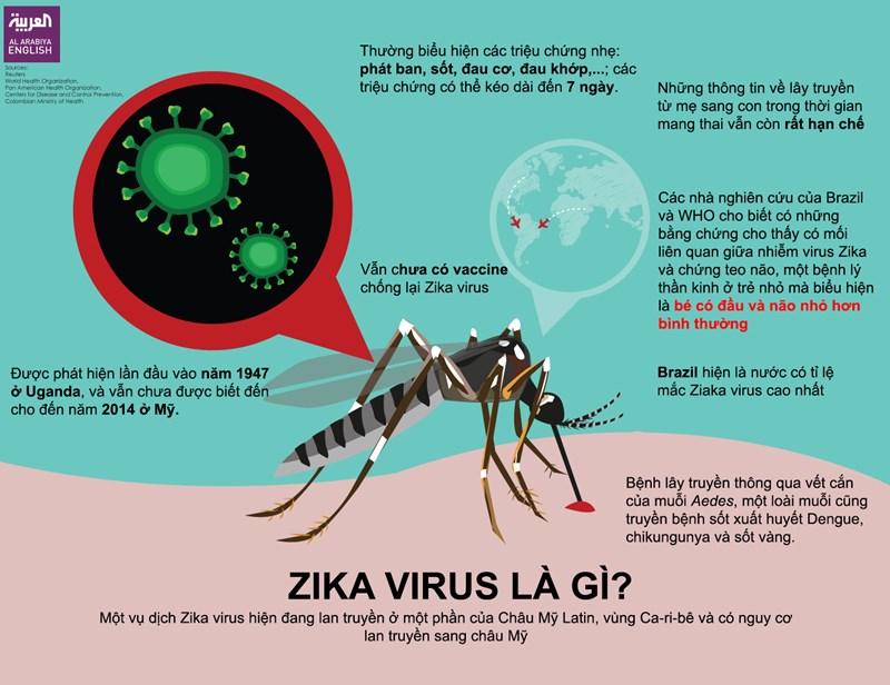 Thông điệp khuyến cáo phòng chống bệnh do vi rút Zika 