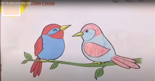 Tạo hình:  Tô màu con chim  lứa tuổi nhà trẻ 24 -36 tháng