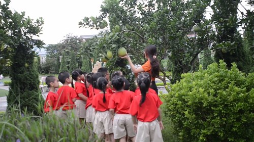 Lớp mẫu giáo lớn A1 cùng với hoạt động thăm vườn cây