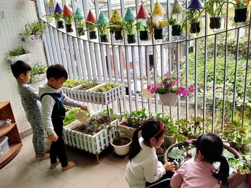 Cùng các bé lớp MGL A5 chăm sóc vườn rau 