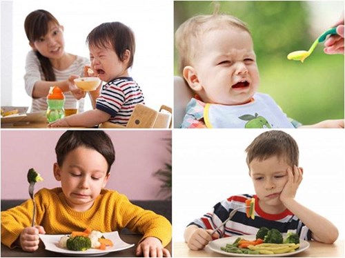 Khi trẻ chán ăn thịt, mẹ nên cho con ăn gì tốt nhất?