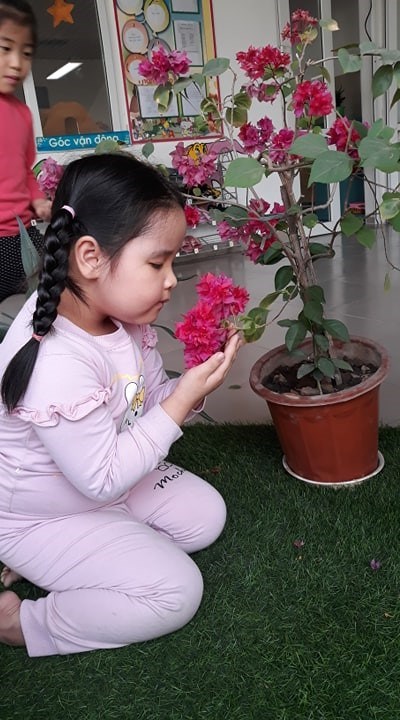 Cùng trẻ chăm sóc và bảo vệ cây xanh, hoa ở góc thiên nhiên