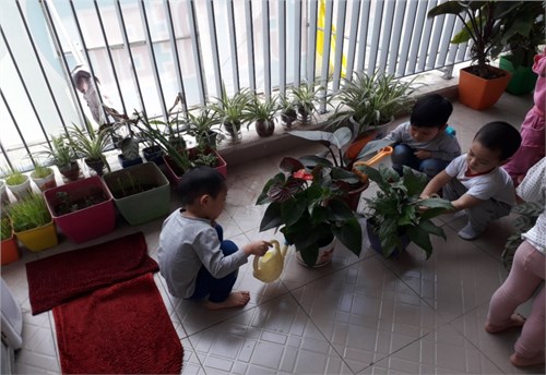 Hoạt động hưởng ứng Tết trồng cây xuân 2019 của các bé lớp MGB C5.
