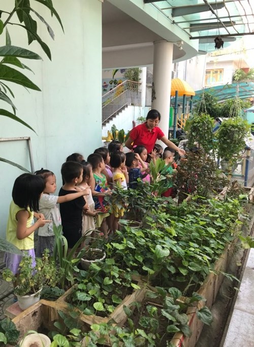 Các bé lớp B3 chăm sóc vườn rau sạch. 