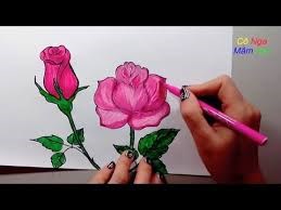 Dạy bé vẽ hoa hồng đơn giản