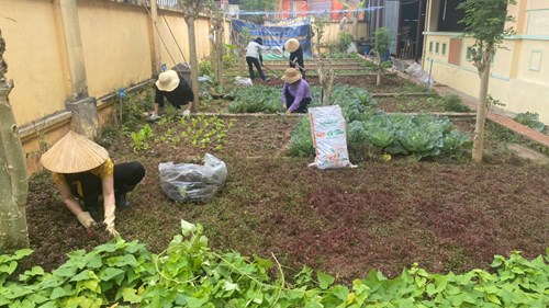 Vườn rau sạch cho trẻ trong trường mầm non